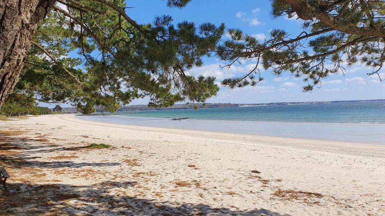 Vacances O Loch - Studio A 200 Metres De La Plage - Le Cap Coz فوسنان المظهر الخارجي الصورة