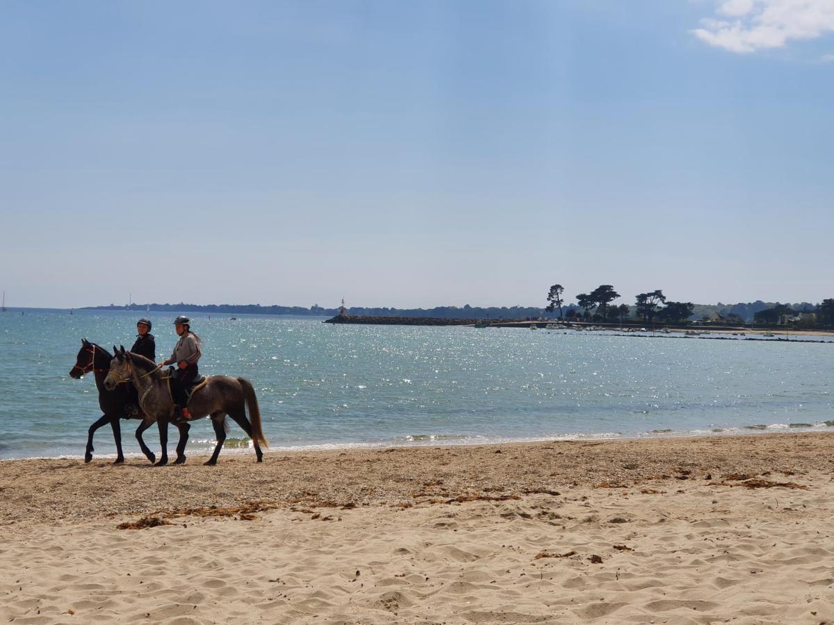 Vacances O Loch - Studio A 200 Metres De La Plage - Le Cap Coz فوسنان المظهر الخارجي الصورة